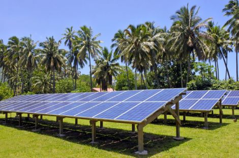 Solar panels with palm trees