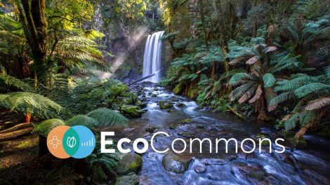 EcoCommons - Climate Action Beacon