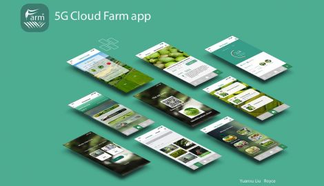Royce Liu, <em>5G Cloud Farm</em>, 2021