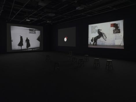 William Kentridge: I am not me, the horse is not mine