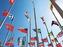 flags of various countries