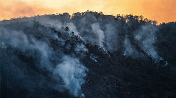 National Climate Action Survey