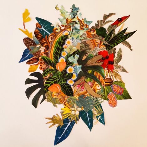 Paula de la Rua Cordoba, “Politicising Plants I”, 2020