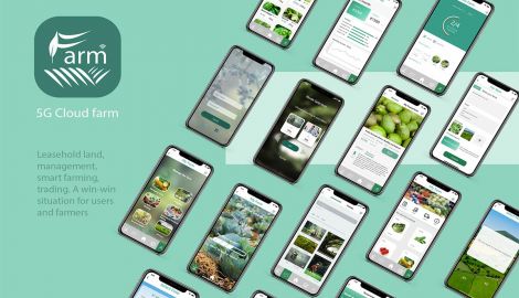 Royce Liu, <em>5G Cloud Farm</em>, 2021