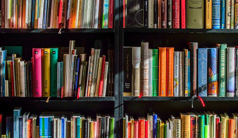 Shelves of books