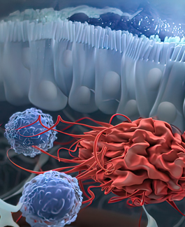 Innate Lymphoid Cells in Mucosal Immunity