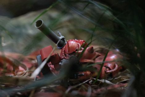 Alex Saharat Shaw, Waiting Patiently, 2019