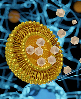 Liposome encapsulation for nanomedicine drug delivery neurodegenerative disease