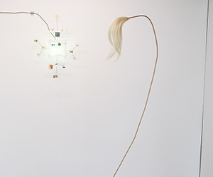 Lizzy Grant, Untitled (Calone)