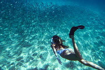 Snorkelling