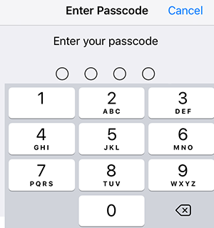 enter passcode panel
