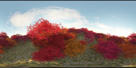 Alex Saharat Shaw, Red Forest, 2020