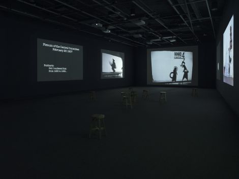 William Kentridge: I am not me, the horse is not mine