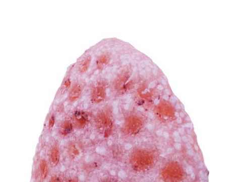 Jayden Allen, <em>Thyme Leaf Scan</em>, 2021