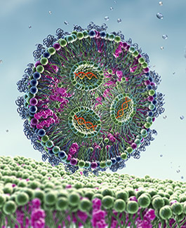 Lipid nanoparticle mRNA vaccine, 3D illustration
