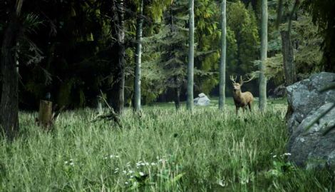 Ethan Garden, <em>The Forest</em>, 2021