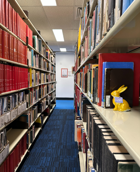 Library aisle with golden bunny hidden in the shelves