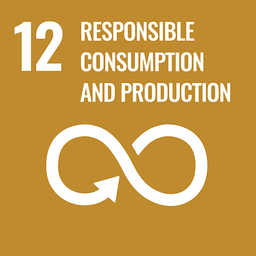 SDG badge that says '12 - Responsible Consumption and Production'