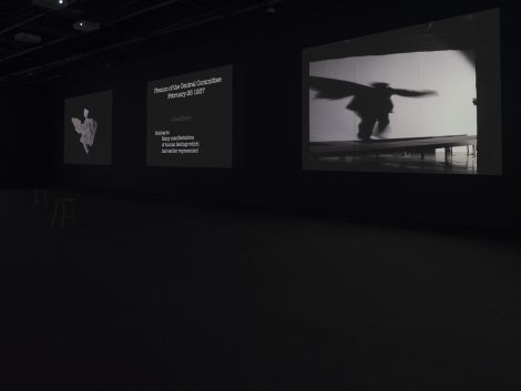 William Kentridge: I am not me, the horse is not mine