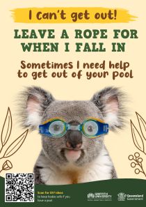 A poster for koala awareness that says I can't get out, sometimes I need help to get out of your pool.
