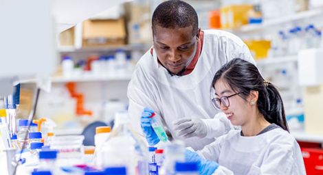 Two researcher working in a lab